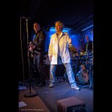 Still Collins am 21. Februar 2015