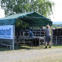 Ziegelei Open Air am 7. & 8. August 2015