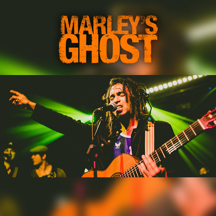 Marley's Ghost feat. Sebastian Sturm live beim Ziegelei Open Air der Scheuer 2017